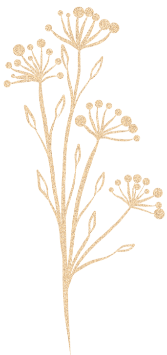 Imagen decorativa