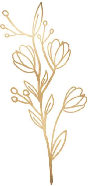 Imagen decorativa