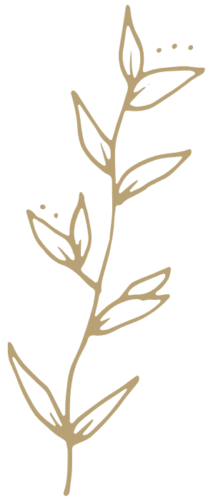 Imagen decorativa