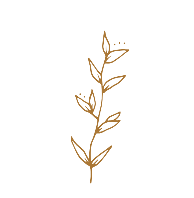 Adorno floral
