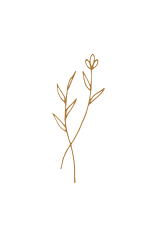 Adorno floral